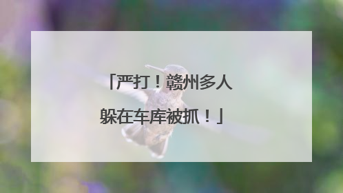 严打！赣州多人躲在车库被抓！
