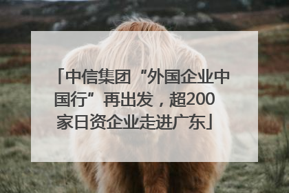 中信集团“外国企业中国行”再出发，超200家日资企业走进广东