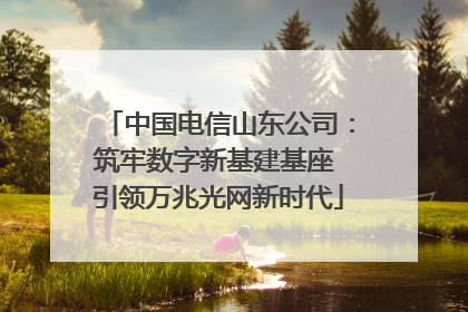 中国电信山东公司：筑牢数字新基建基座 引领万兆光网新时代