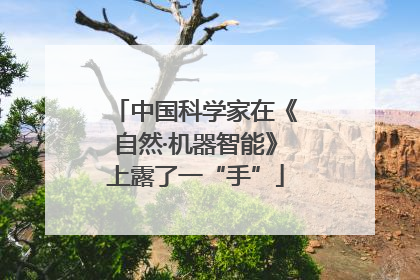 中国科学家在《自然·机器智能》上露了一“手”