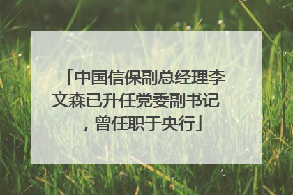 中国信保副总经理李文森已升任党委副书记，曾任职于央行