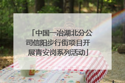 中国一冶湖北分公司信阳步行街项目开展青安岗系列活动