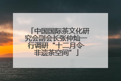 中国国际茶文化研究会副会长张仲灿一行调研“十二月令·非遗茶空间”