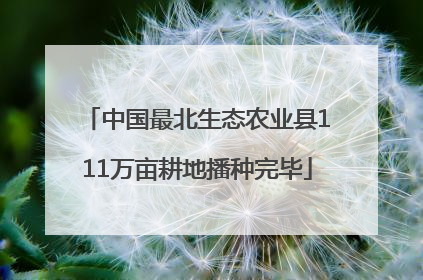 中国最北生态农业县111万亩耕地播种完毕