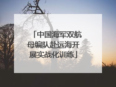 中国海军双航母编队赴远海开展实战化训练