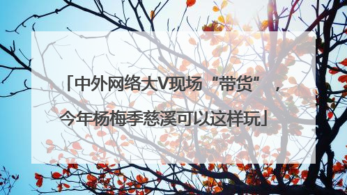 中外网络大V现场“带货”，今年杨梅季慈溪可以这样玩
