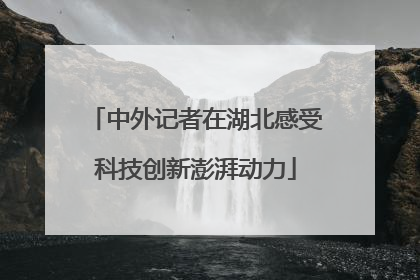 中外记者在湖北感受科技创新澎湃动力