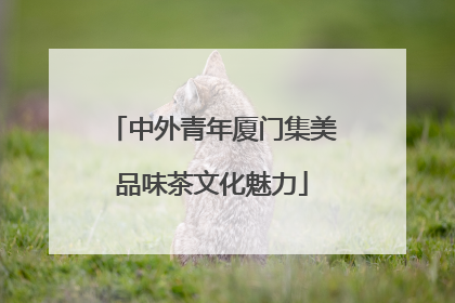 中外青年厦门集美品味茶文化魅力