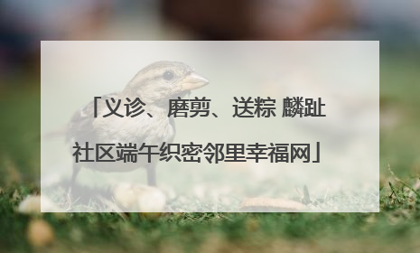 义诊、磨剪、送粽 麟趾社区端午织密邻里幸福网