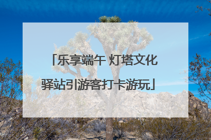 乐享端午 灯塔文化驿站引游客打卡游玩