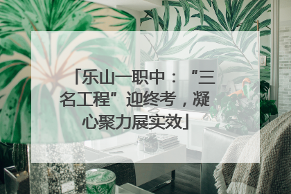 乐山一职中：“三名工程”迎终考，凝心聚力展实效