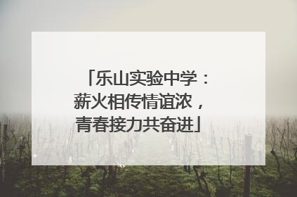 乐山实验中学：薪火相传情谊浓，青春接力共奋进