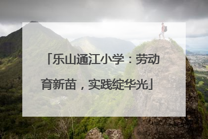 乐山通江小学：劳动育新苗，实践绽华光