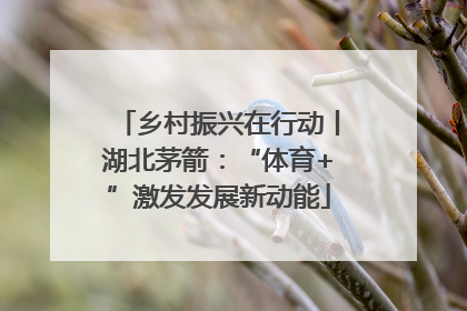 乡村振兴在行动丨湖北茅箭：“体育+”激发发展新动能