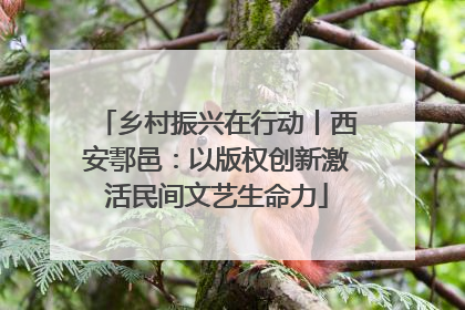 乡村振兴在行动丨西安鄠邑：以版权创新激活民间文艺生命力