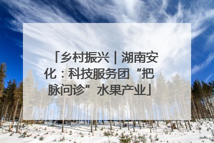 乡村振兴｜湖南安化：科技服务团“把脉问诊”水果产业