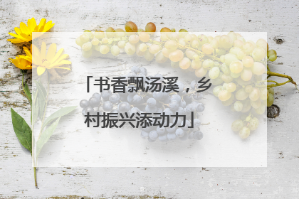 书香飘汤溪，乡村振兴添动力