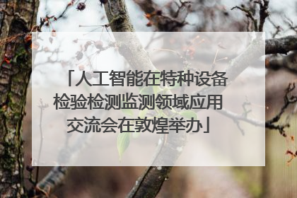 人工智能在特种设备检验检测监测领域应用交流会在敦煌举办