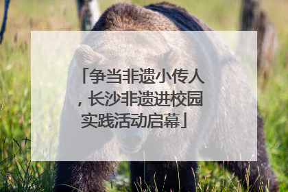 争当非遗小传人，长沙非遗进校园实践活动启幕