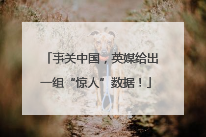 事关中国，英媒给出一组“惊人”数据！