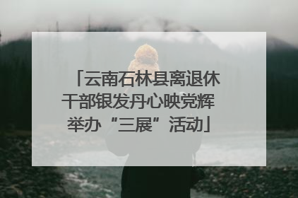 云南石林县离退休干部银发丹心映党辉举办“三展”活动