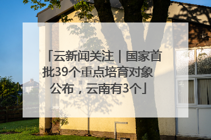 云新闻关注｜国家首批39个重点培育对象公布，云南有3个