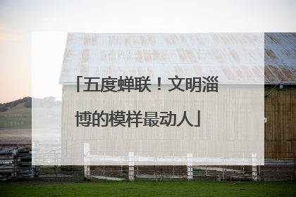 五度蝉联！文明淄博的模样最动人