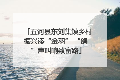 五河县东刘集镇乡村振兴添“金羽” “鸽”声叫响致富路