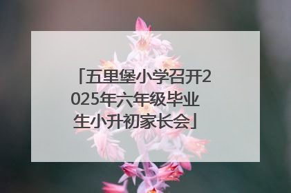 五里堡小学召开2025年六年级毕业生小升初家长会