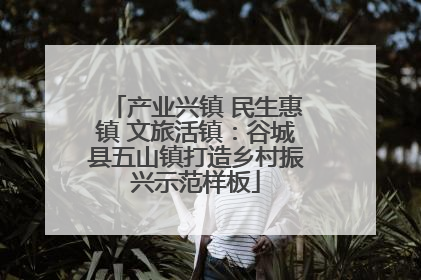 产业兴镇 民生惠镇 文旅活镇：谷城县五山镇打造乡村振兴示范样板