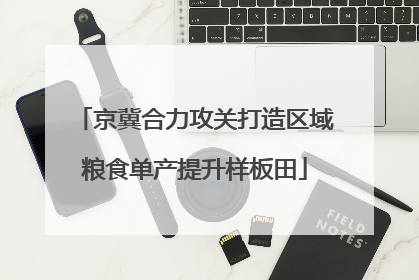 京冀合力攻关打造区域粮食单产提升样板田
