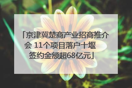 京津冀楚商产业招商推介会 11个项目落户十堰 签约金额超68亿元