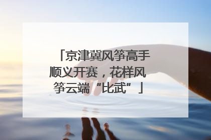 京津冀风筝高手顺义开赛，花样风筝云端“比武”