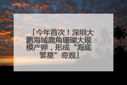 今年首次！深圳大鹏海域鹿角珊瑚大规模产卵，形成“海底繁星”奇观
