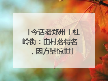 今话老郑州丨杜岭街：由村落得名，因方鼎惊世