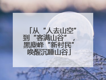 从“人去山空”到“客满山谷”，黑麋峰“新村民”唤醒沉睡山谷