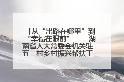 从“出路在哪里”到“幸福在眼前”——湖南省人大常委会机关驻五一村乡村振兴帮扶工作队书写振兴答卷