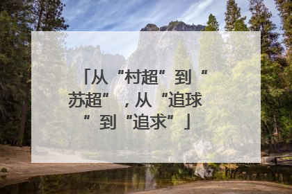 从“村超”到“苏超”，从“追球”到“追求”