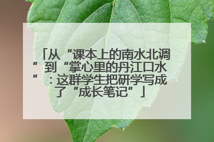 从“课本上的南水北调”到“掌心里的丹江口水”：这群学生把研学写成了“成长笔记”