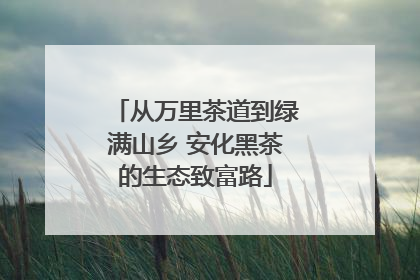 从万里茶道到绿满山乡 安化黑茶的生态致富路