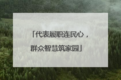 代表履职连民心，群众智慧筑家园