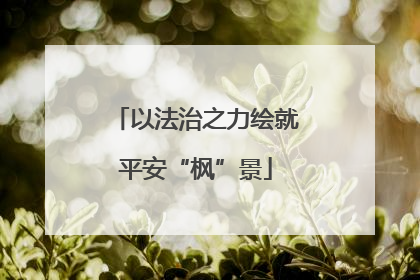 以法治之力绘就平安“枫”景