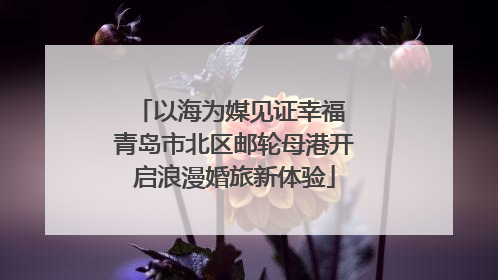 以海为媒见证幸福 青岛市北区邮轮母港开启浪漫婚旅新体验