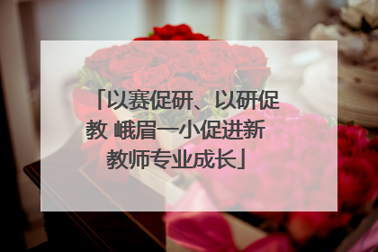 以赛促研、以研促教 峨眉一小促进新教师专业成长
