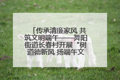 传承清廉家风 共筑文明端午——舞阳街道长春村开展“树道德新风 扬端午文化”主题活动