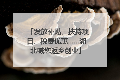 发放补贴、扶持项目、税费优惠……湖北喊您返乡创业