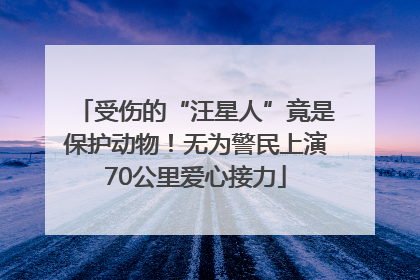 受伤的“汪星人”竟是保护动物！无为警民上演70公里爱心接力