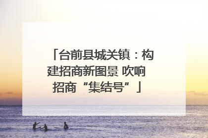 台前县城关镇：构建招商新图景 吹响招商“集结号”