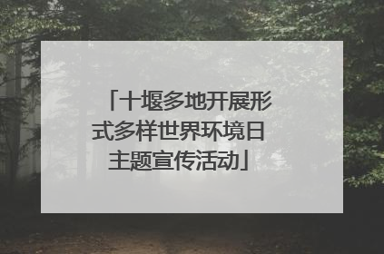 十堰多地开展形式多样世界环境日主题宣传活动