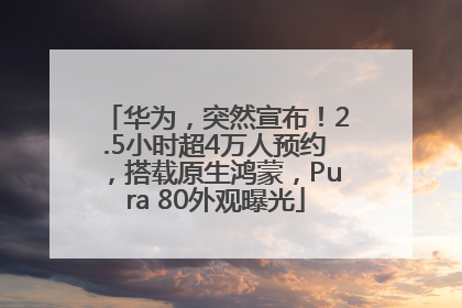 华为，突然宣布！2.5小时超4万人预约，搭载原生鸿蒙，Pura 80外观曝光